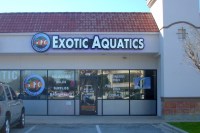 Exotic Aquatics